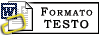 Formato testo